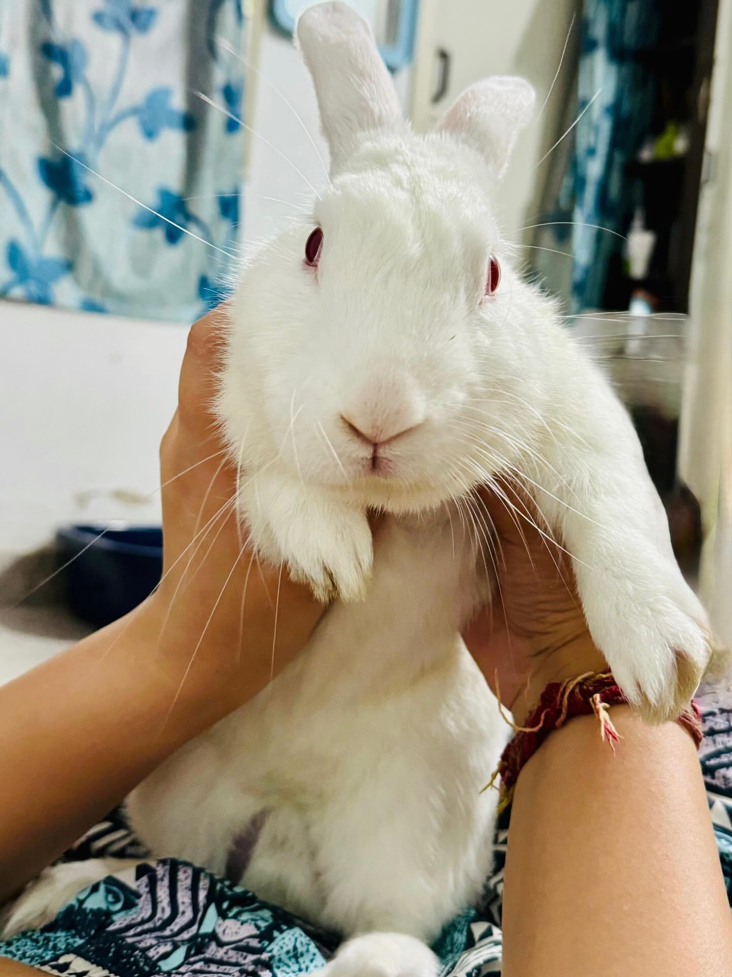 Hazel looking cute